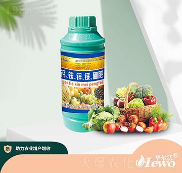 �}�F�\�V��ʣ�ƿ��-�A����