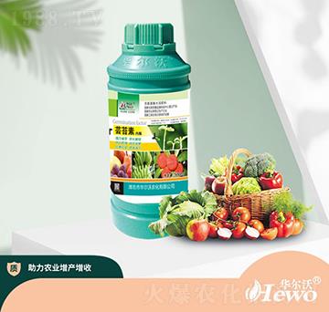 �|̦�؃�(n��i)��-�A����