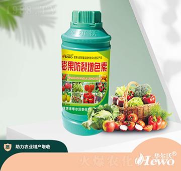 ���������ɫ��-�A����