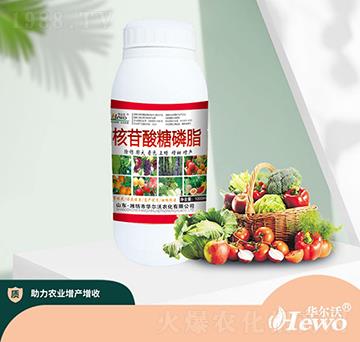 ����������֬-�A����