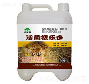 �������(l��)��-�|���S