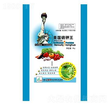 ����(gu��)�����-�|���S