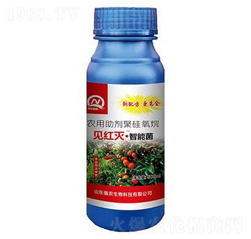 Ҋt硤ܾ500ml-(qing)r(nng)