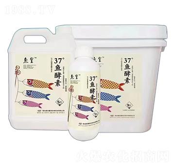 37���~����-�~��-ʢ���κ�