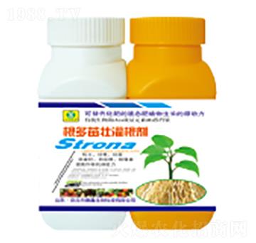 ������ѹ����-��������