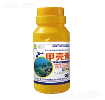 �ך����~���-��������