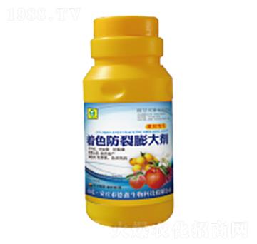 ��ɫ�������-��������