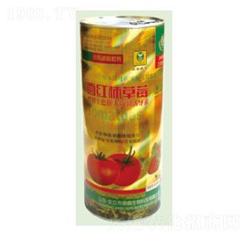 ���t����ݮ������ɫ�������T��(d��o)��-��������