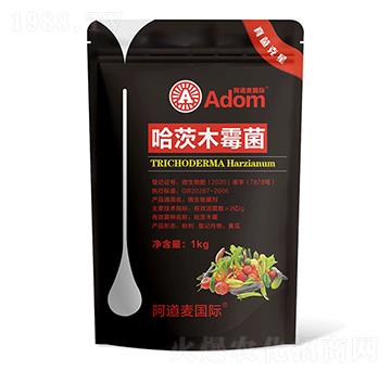 ����ľù��-�������-������