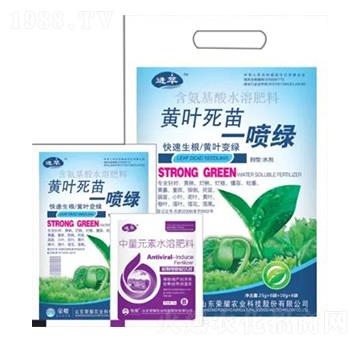 含氨基酸水溶肥料-黃葉死苗一噴綠-榮耀農(nóng)業(yè)