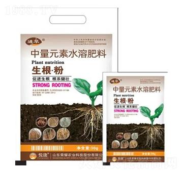 中量元素水溶肥料-生根·粉-榮耀農(nóng)業(yè)
