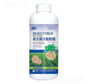 1000g花生膨大粒粒飽-榮耀農(nóng)業(yè)