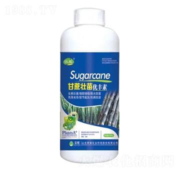 1000g������烞(y��u)�S��-�sҫ�r(n��ng)�I(y��)