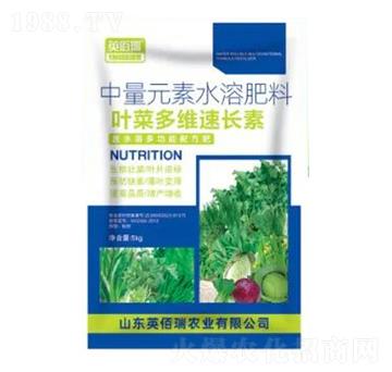 葉菜多維速長(zhǎng)素-中量元素水溶肥-榮耀農(nóng)業(yè)