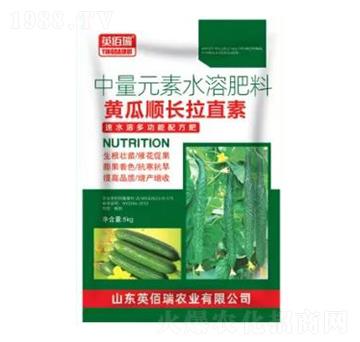 黃瓜順長拉直素-中量元素水溶肥-榮耀農(nóng)業(yè)