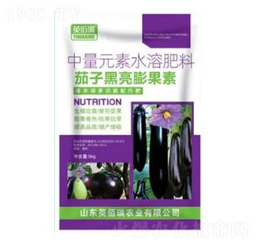 茄子黑亮膨果素-中量元素水溶肥-榮耀農(nóng)業(yè)