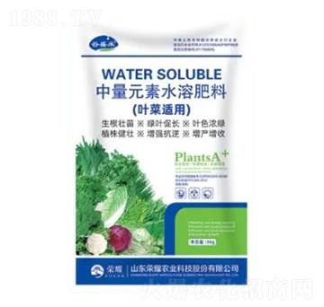 葉菜適用中量元素水溶肥料-榮耀農(nóng)業(yè)
