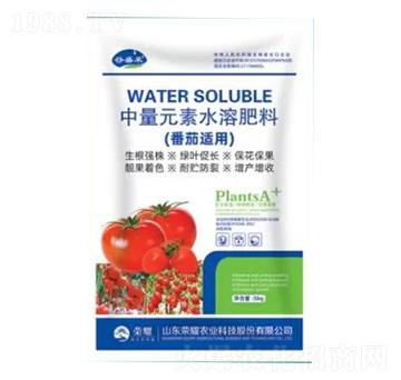 番茄適用中量元素水溶肥料-榮耀農(nóng)業(yè)