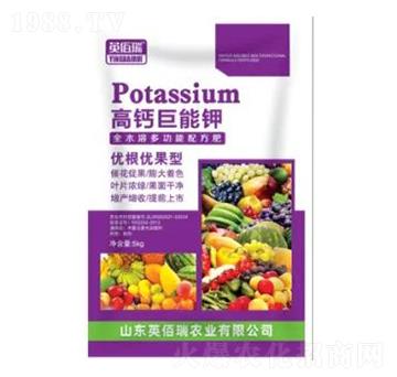 高鈣巨能鉀優(yōu)根優(yōu)果型-榮耀農(nóng)業(yè)