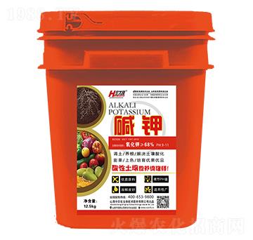 ���������I�B(y��ng)�{�펟-�A