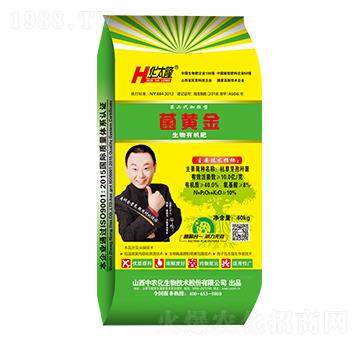 �����ЙC��-���S��-��