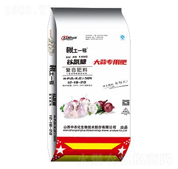 ����Ȱ��ǏͺϷ���12