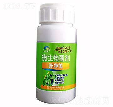 ΢�������-�~����-�ͅf(xi��)����