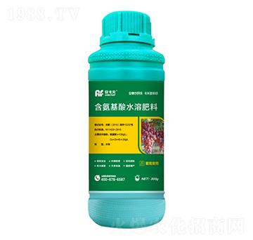 300g葡萄需用含氨基酸水溶肥料-安卡夫