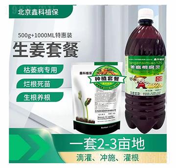 �����ײ�-�ο�ֲ��