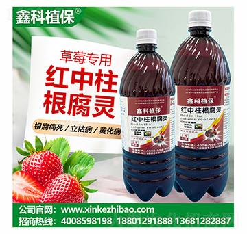 ��ݮ��(zhu��n)�üt���������`-�ο�ֲ��