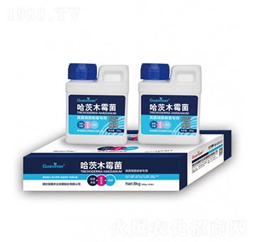 �����(x��)���������ù���ľù��-���v����