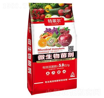 ΢�������-���R��-���r