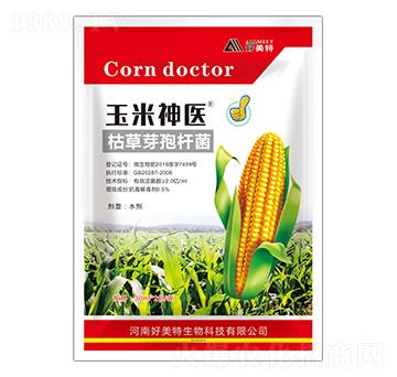 �ݲ�ѿ�ߗU��-�������t(y��)-������