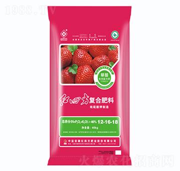 ��ݮ���ÏͺϷ���12-16-18-�t�ķ�