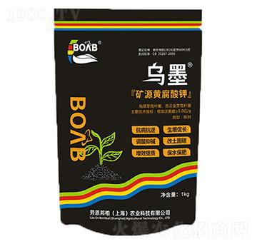 ��ī�VԴ�S�����-�ڶ����