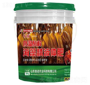 �͜�ø�⺣�徫Һ�w��-����-�׵��r�I(y��)