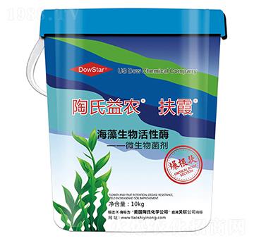 �����������ø�������-��ϼ-�������r