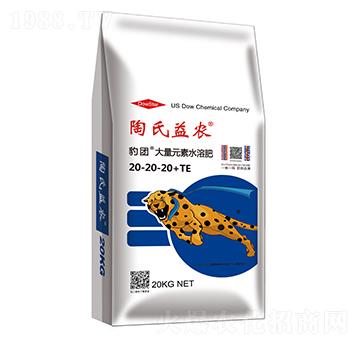 ����Ԫ��ˮ�ܷ���20-20-20+MgO+TE-���F-�������r