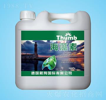 5kg������-����r(n��ng)�I(y��)