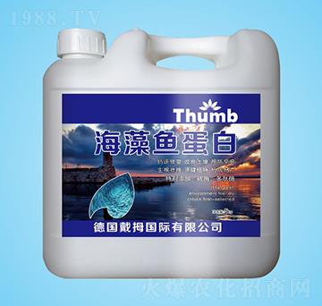 �����~(y��)����-����r(n��ng)�I(y��)