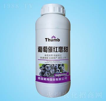 ���Ѵ߼t����-����r(n��ng)�I(y��)