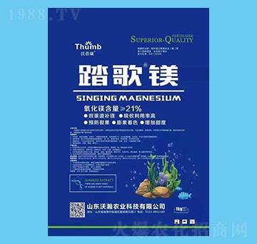 ̤���V-������-����r(n��ng)�I(y��)