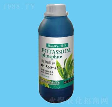 �������-��l(w��i)-����r(n��ng)�I(y��)