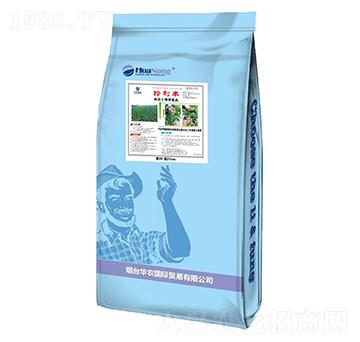 �����S���B(t��i)�����ޏ�-�A�r���H