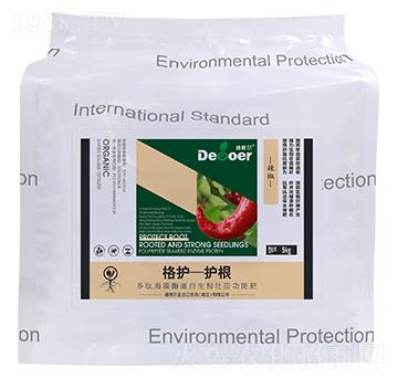 ���o-�o����������-�ϸ�