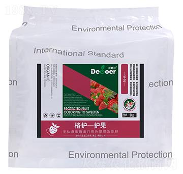 ���o-�o������ݮ��-�ϸ�