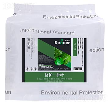 ���o-�o�~���~���-�ϸ�