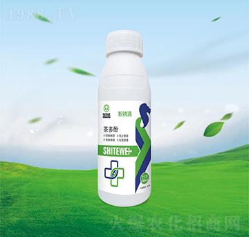 ����-���P��-ʩ����