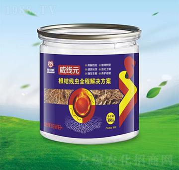 ���Y���xȫ�̽�Q����-����Ԫ-ʩ����