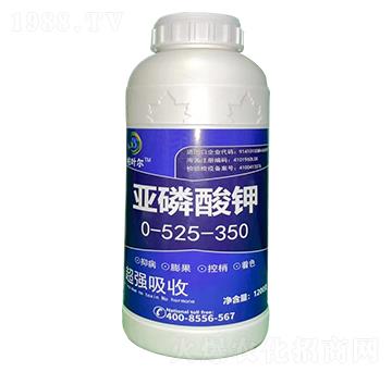 �������-���~��